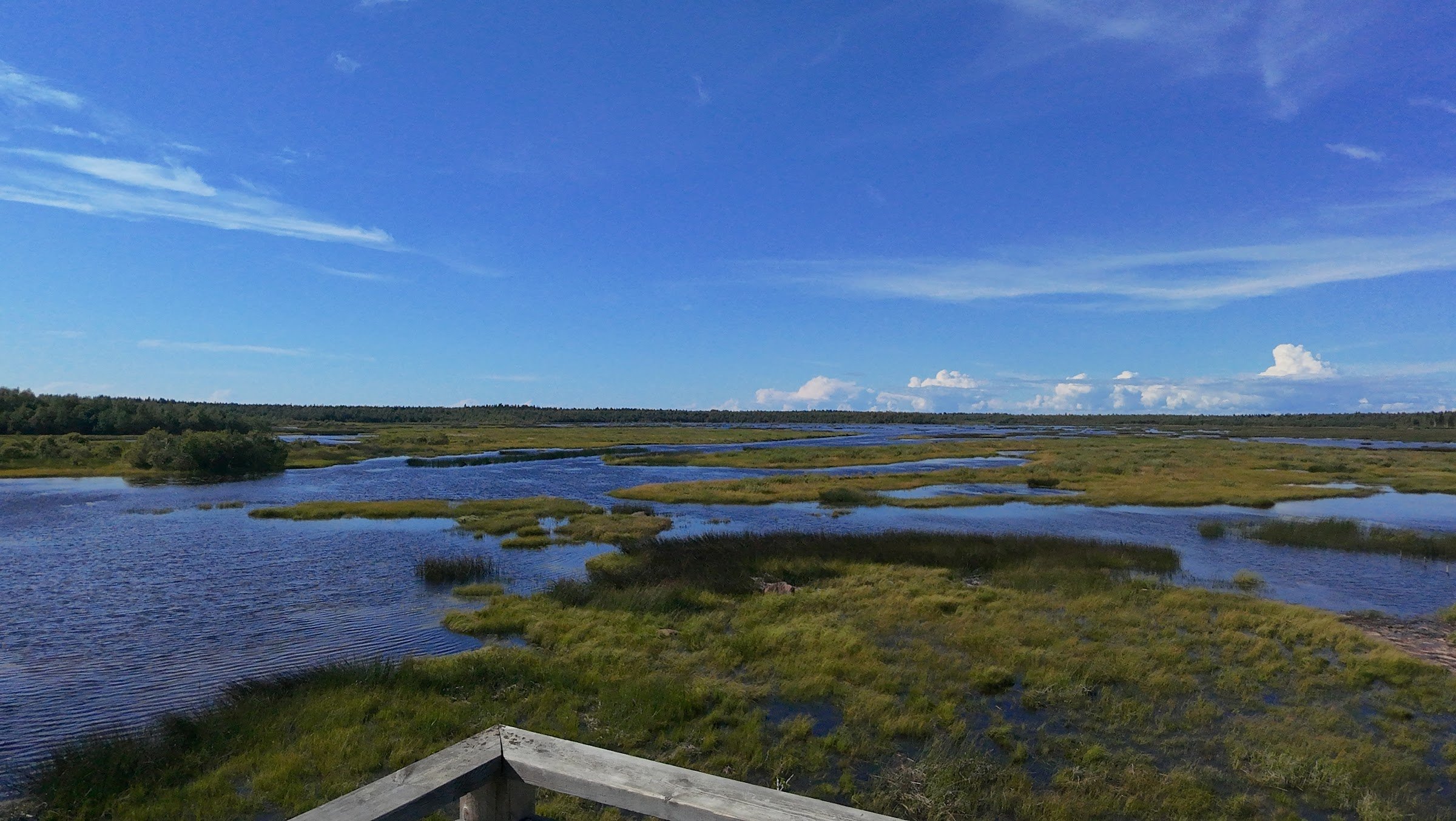 Hiastinhaara Nature Trail